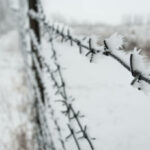 Barbed wire fence covered with frost winter time